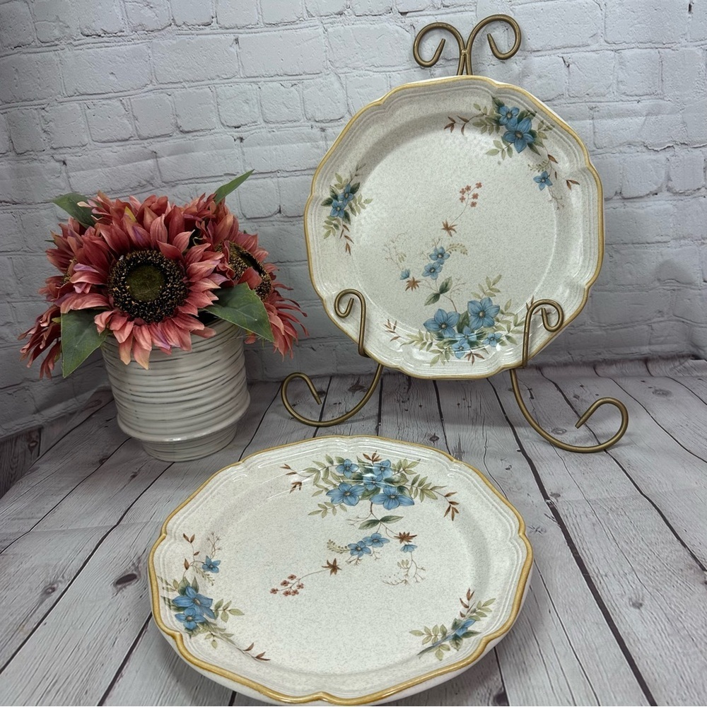 vintage 80s Mikasa day dreams EC 461 garden club dinner plate blue floral 2pc